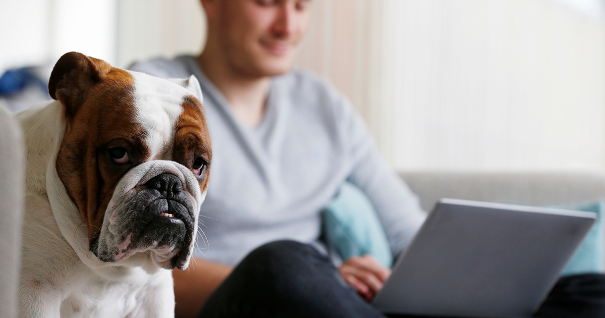 Vorschaubild des Blogbeitrags